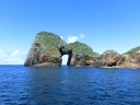 whangarei (76)